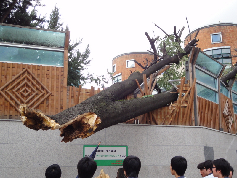 [DSC-WX1] 007.jpg